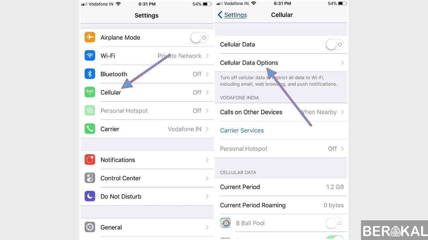 setting apn xl di iphone