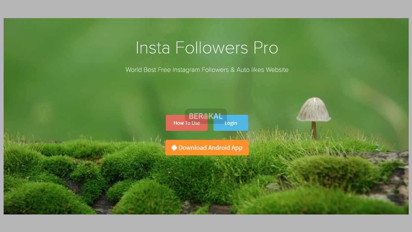 instafollowerspro instafollowerspro