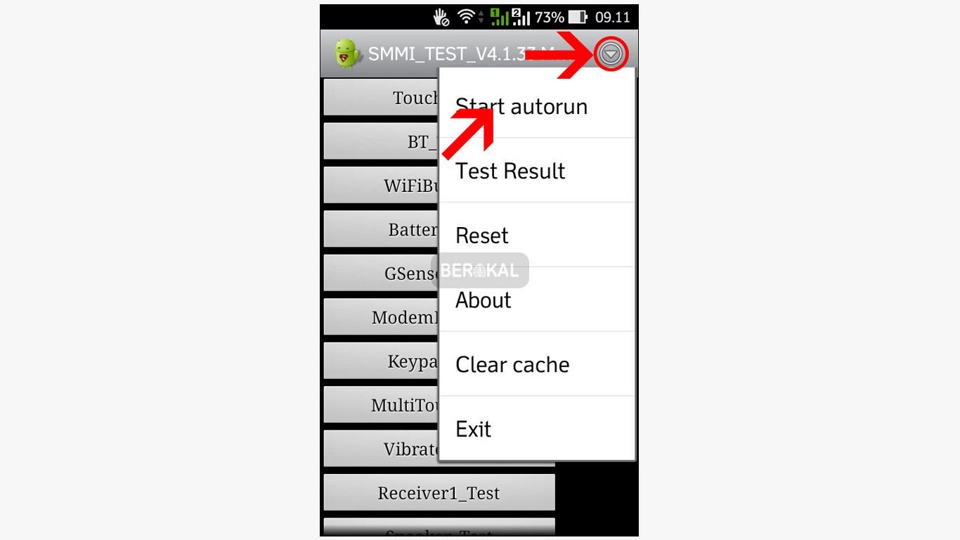 smii test smii test