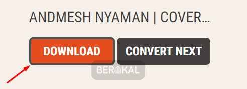 download musik youtube lewat flvtomp3