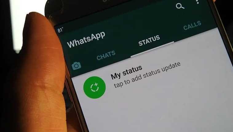 cara download status whatsapp tanpa aplikasi