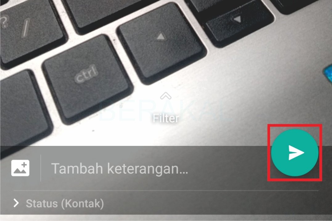solusi gagal mengirim status wa