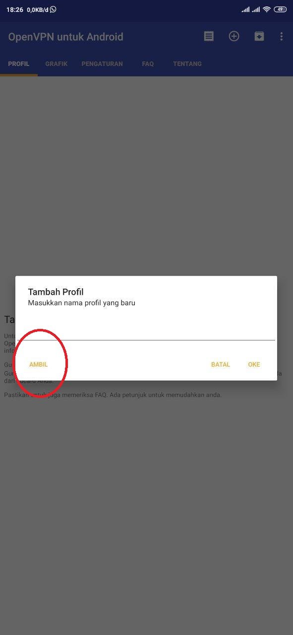 Input OpenVPN Input OpenVPN