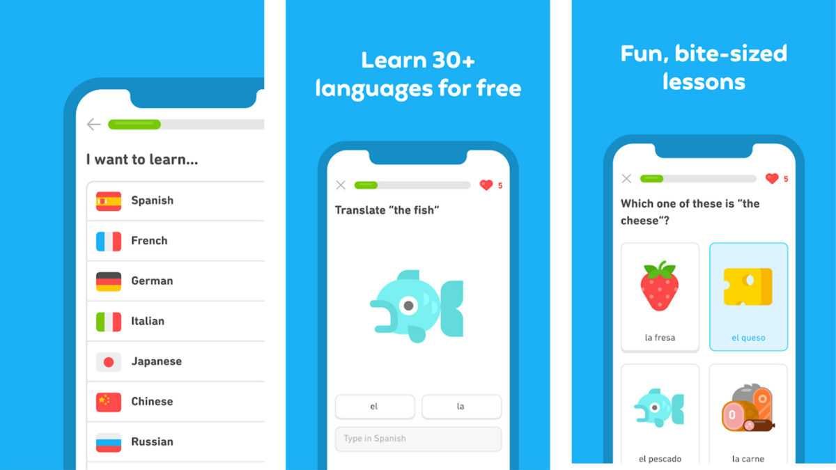 aplikasi belajar bahasa inggris untuk pemula