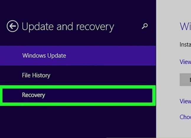 pilih recovery pilih recovery