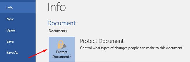 protect document protect document