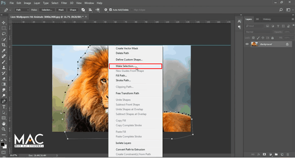 Make Selection Photoshop Make Selection Photoshop