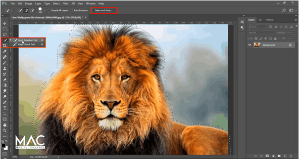 Select and Mask Photoshop Select and Mask Photoshop