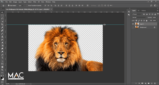 hasil crop foto photoshop hasil crop foto photoshop