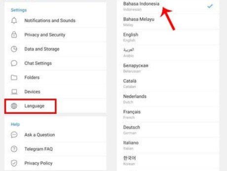 Kamu bisa memilih bahasa default atau bahasa Indonesia.