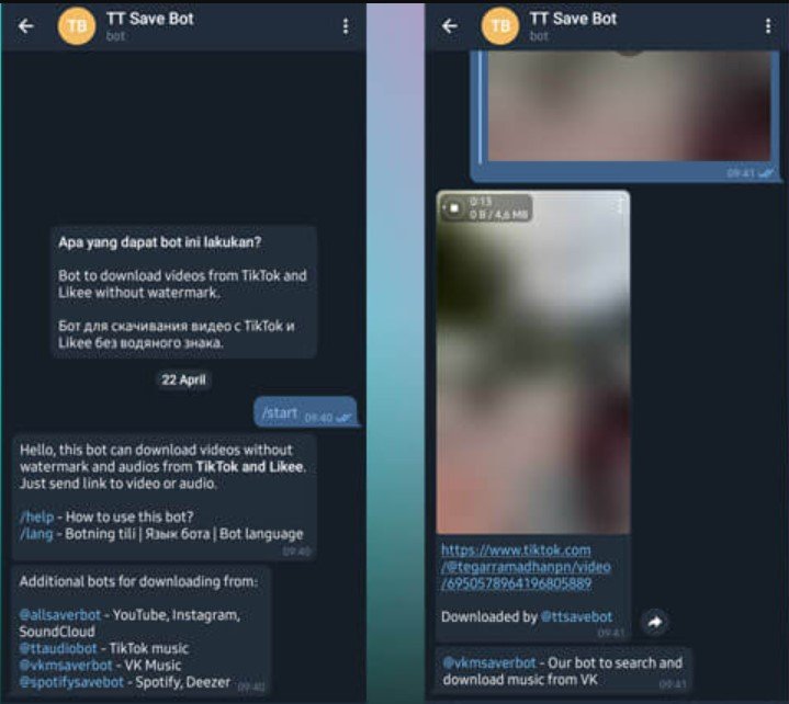 Pada chat bot dengan tampilan TikTok Downloader, tempelkan tautan video TikTok yang sebelumnya telah disalin tadi ke kolom chat, lalu klik Oke.