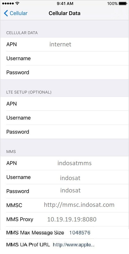 Setting APN Indosat
