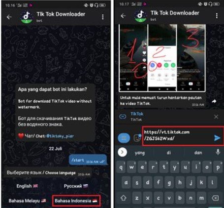 Tempelkan tautan video TikTok tadi di kolom chat pada chat bot dengan TikTok Downloader.